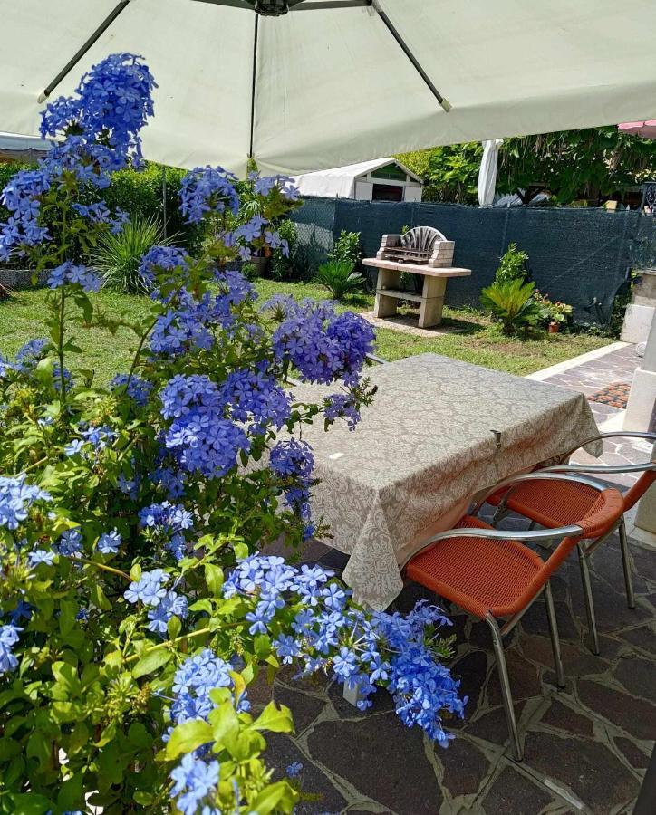 Bertos House Tra Mare E Laguna Cavallino-Treporti Εξωτερικό φωτογραφία