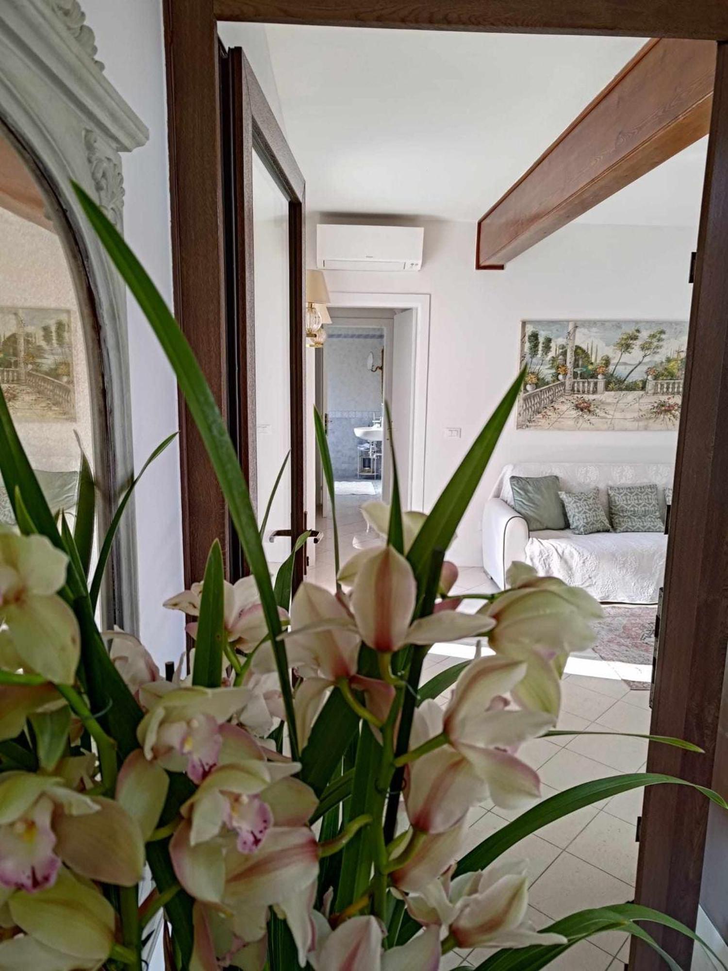 Bertos House Tra Mare E Laguna Cavallino-Treporti Εξωτερικό φωτογραφία